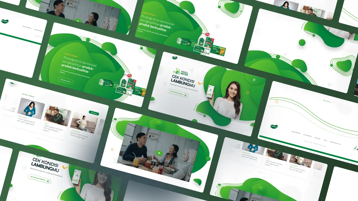 jasa pembuatan website promag